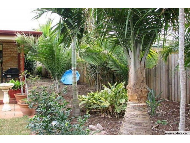 44 Dundee St, Bray Park QLD 4500