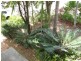 14 WAROONA ST, Morayfield QLD 4506