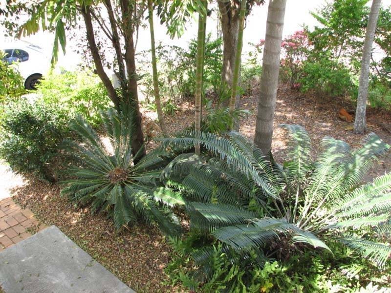 14 WAROONA ST, Morayfield QLD 4506