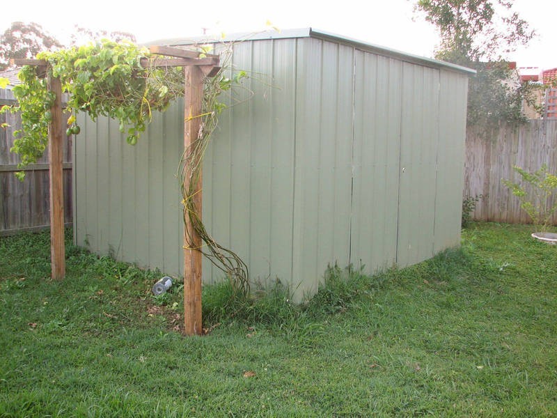 8 Jameson Cl, Morayfield QLD 4506