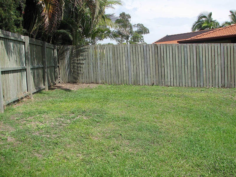 14 Brownia Ct, Morayfield QLD 4506