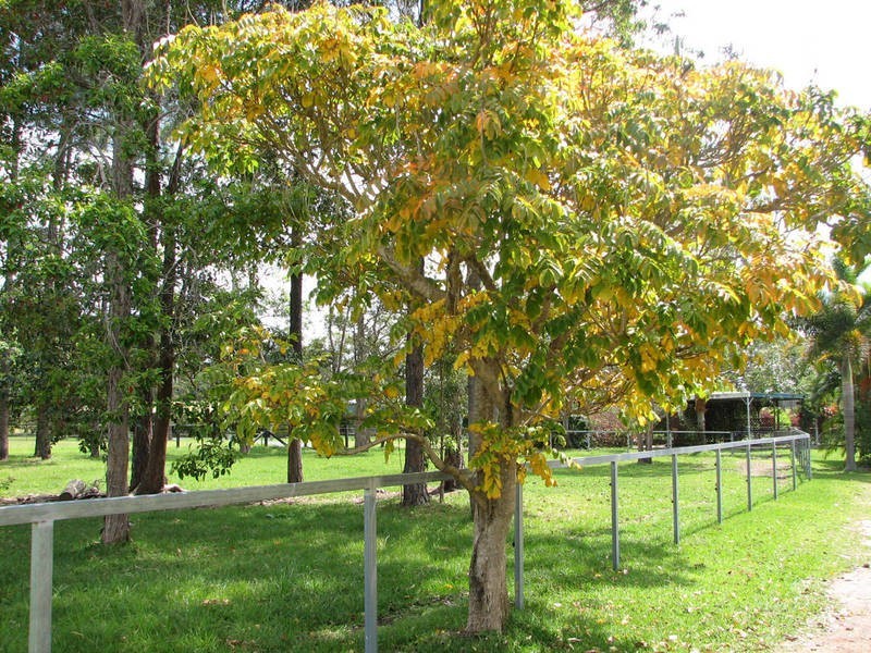 2 Kurrajong Dr, Burpengary QLD 4505