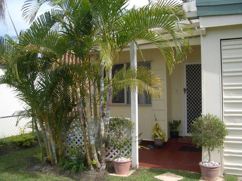 54 Frank St, Caboolture South QLD 4510