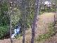 319 Wilderness Road, Lovedale NSW 2325