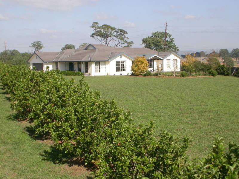 Spring Farm NSW 2570