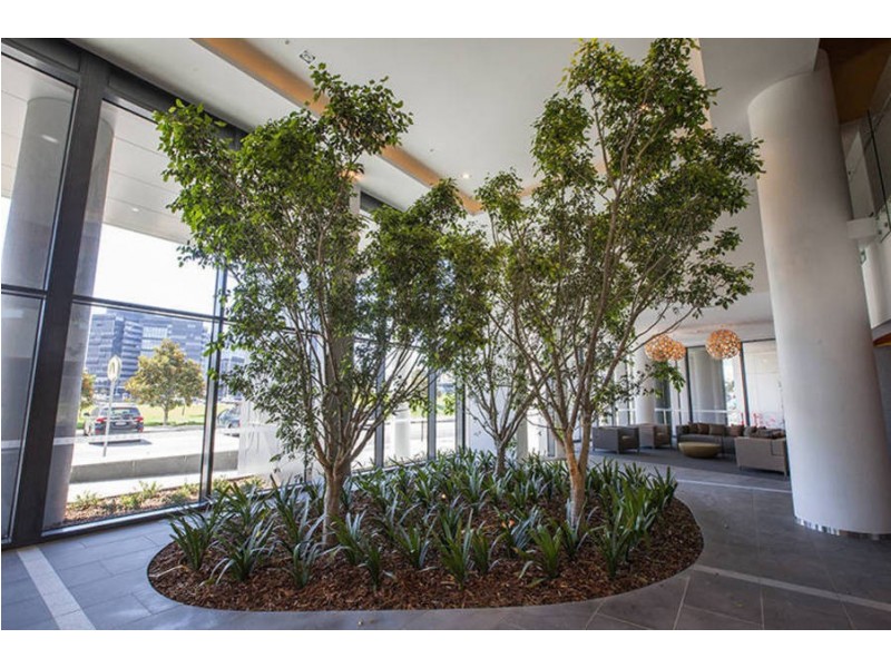 1206 / 1 Point Park Crescent, Docklands VIC 3008