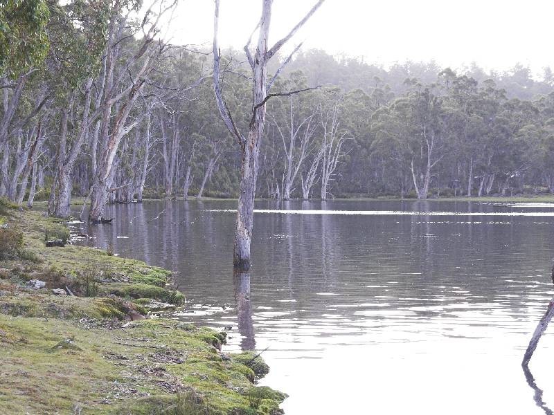 Bronte Park TAS 7140