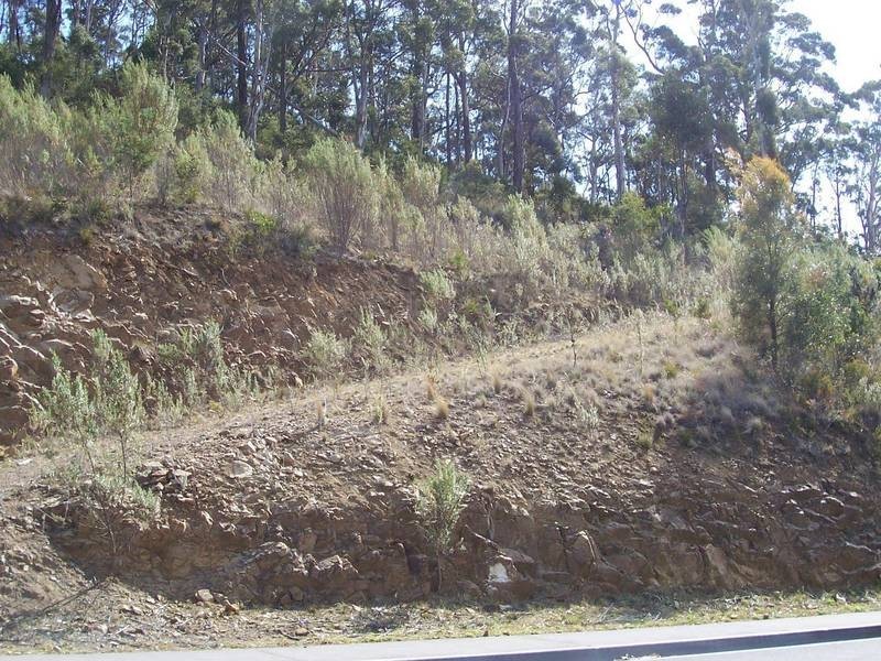 32 Woodcutters Road, Tolmans Hill TAS 7007