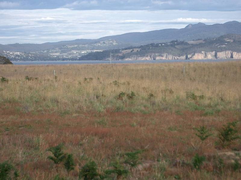 19 Bangor Road, Opossum Bay TAS 7023