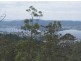 19 Hakea Dr, Tolmans Hill TAS 7007