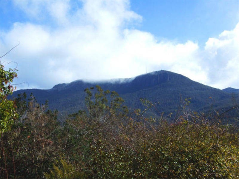 South Hobart TAS 7004