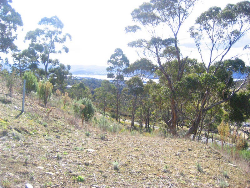 10 Woodcutters Road, Tolmans Hill TAS 7007