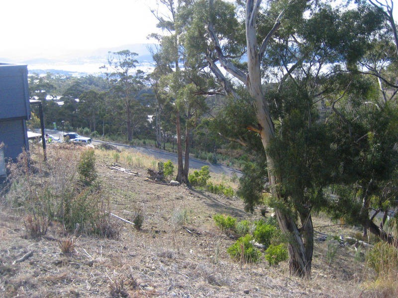 Tolmans Hill TAS 7007