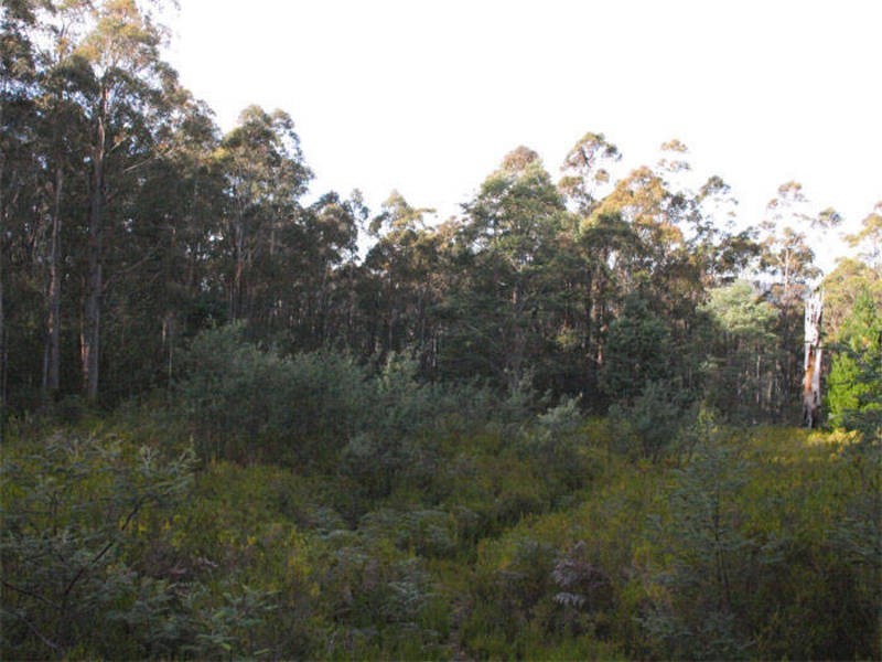 Collinsvale TAS 7012