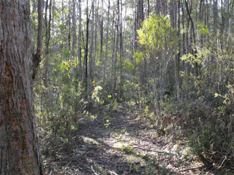 Collinsvale TAS 7012