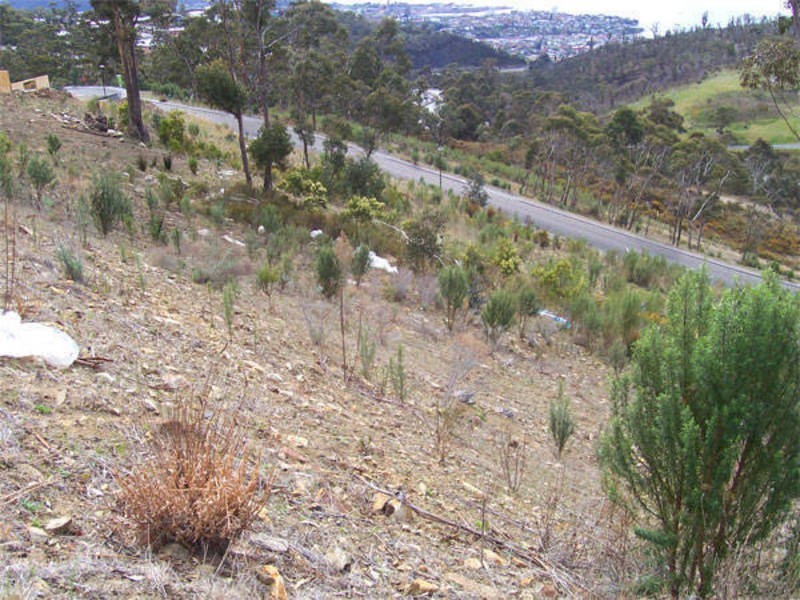 Tolmans Hill TAS 7007