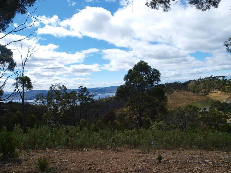 Tolmans Hill TAS 7007