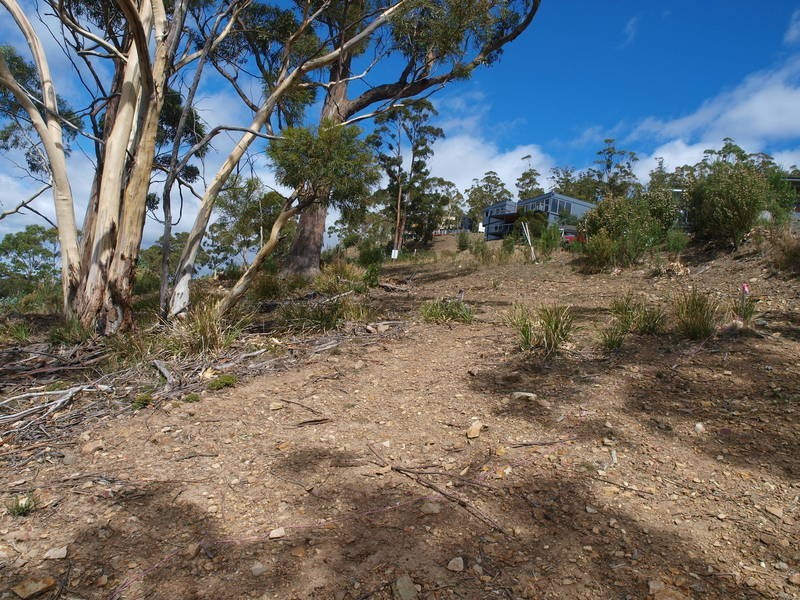 Tolmans Hill TAS 7007