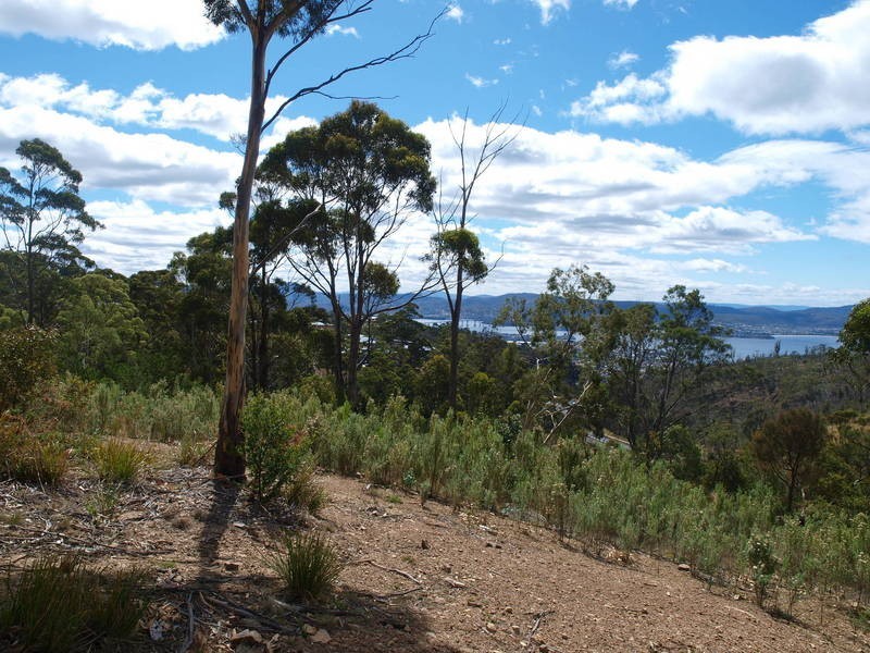 Tolmans Hill TAS 7007