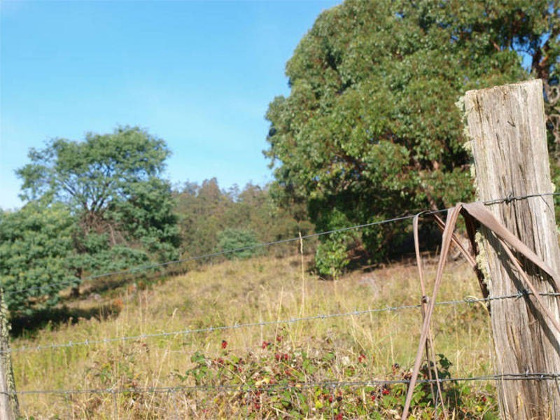 Pelverata Road, Pelverata TAS 7150