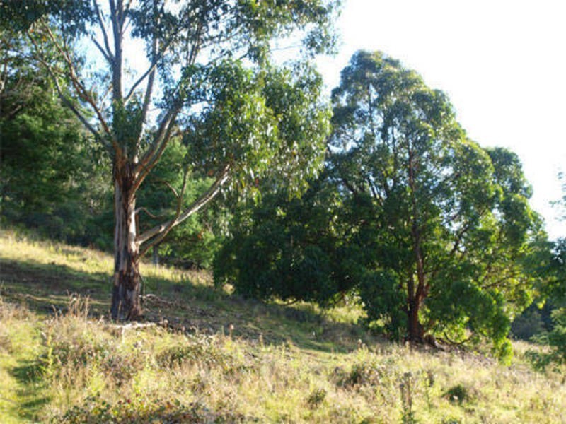 Pelverata Road, Pelverata TAS 7150