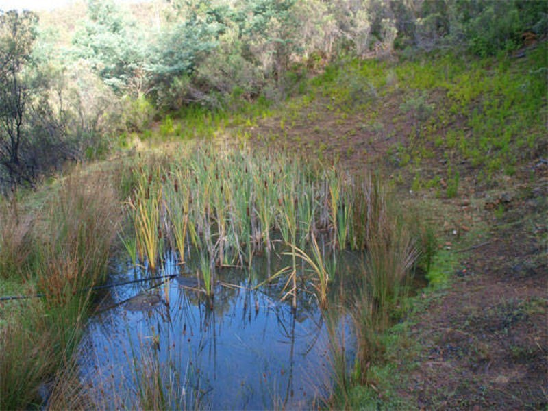 Pelverata Road, Pelverata TAS 7150