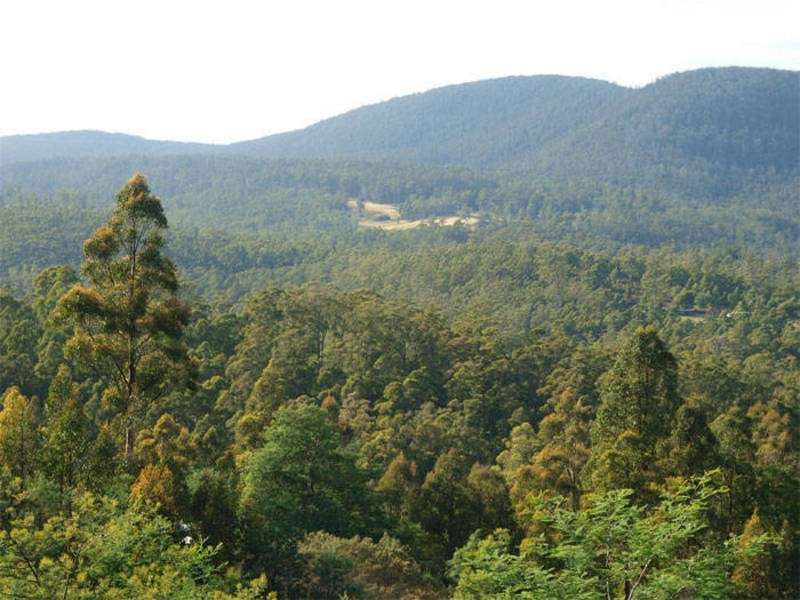 Pelverata Road, Pelverata TAS 7150