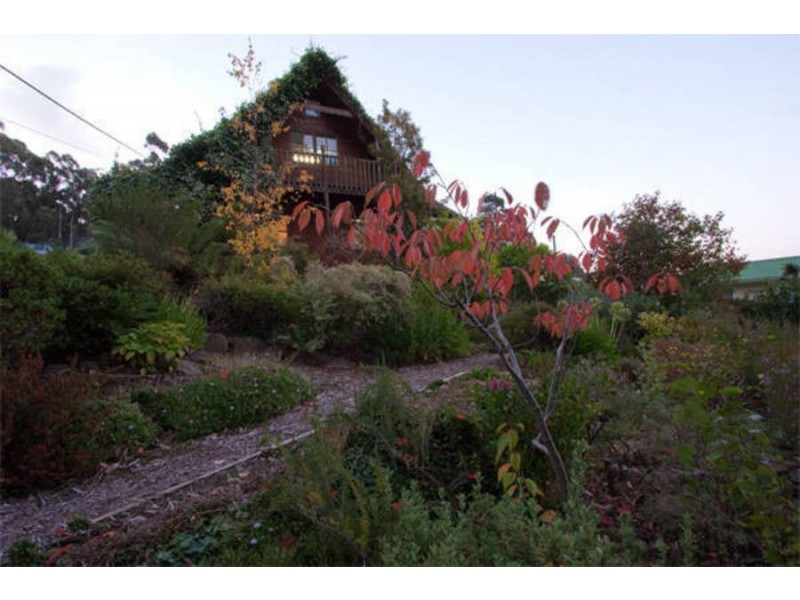 339 Strickland Avenue, South Hobart TAS 7004