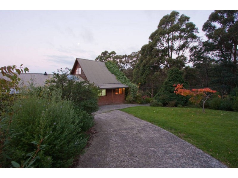 339 Strickland Avenue, South Hobart TAS 7004