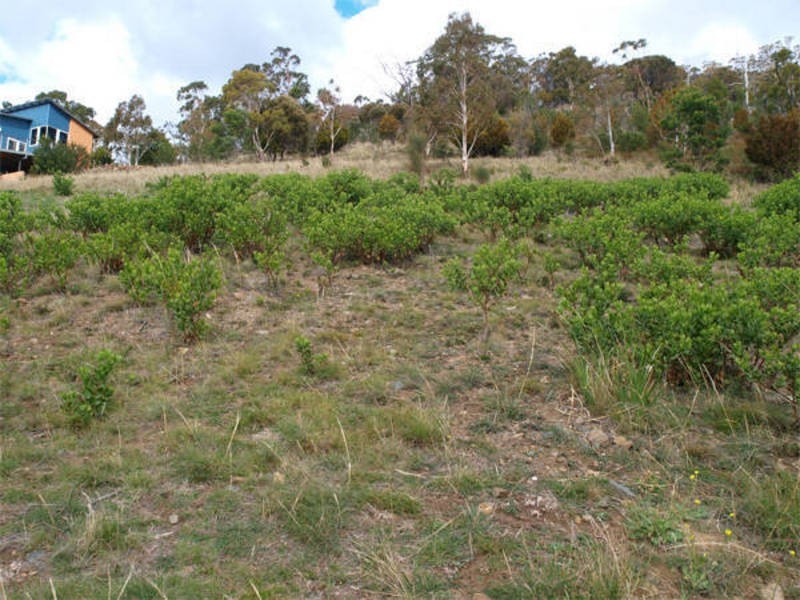 1 Ross Place, Mount Stuart TAS 7000