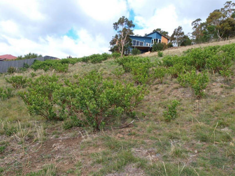 1 Ross Place, Mount Stuart TAS 7000