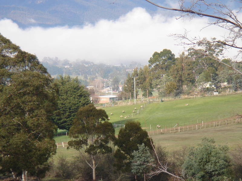 138 Black Hills Road, Magra TAS 7140