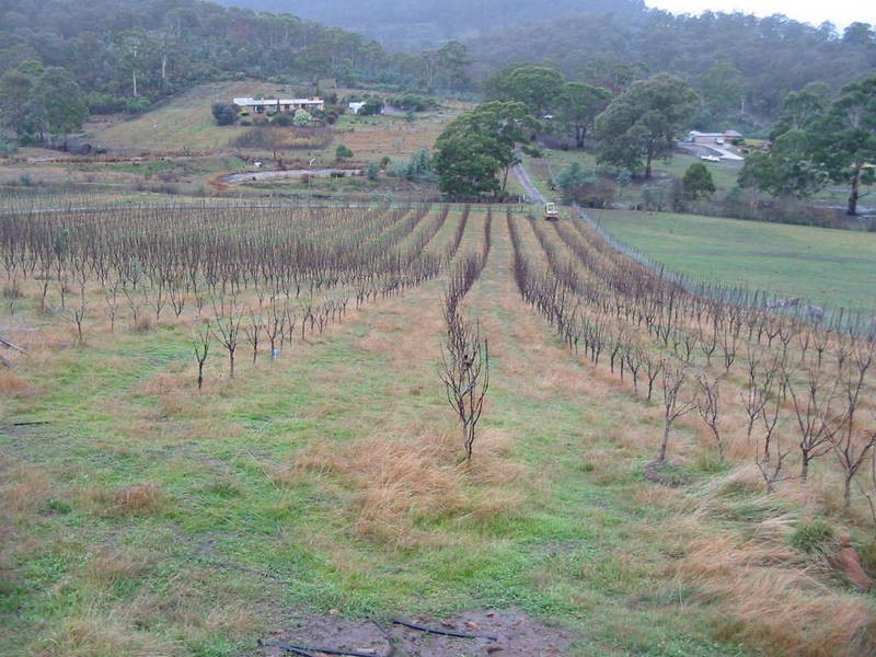 138 Black Hills Road, Magra TAS 7140