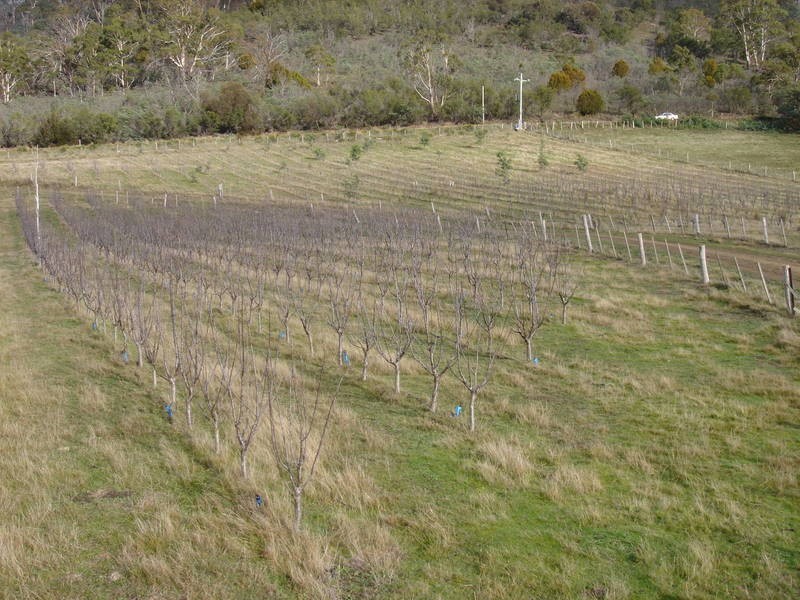 138 Black Hills Road, Magra TAS 7140