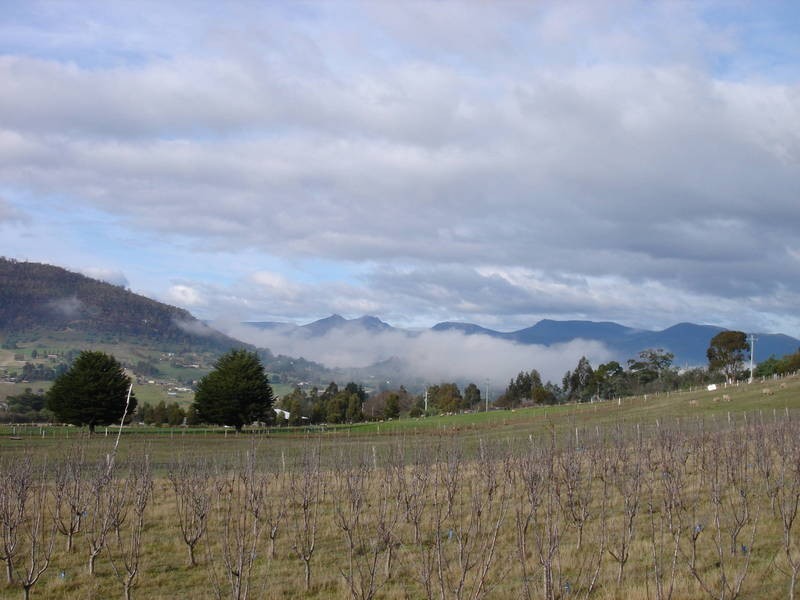 138 Black Hills Road, Magra TAS 7140