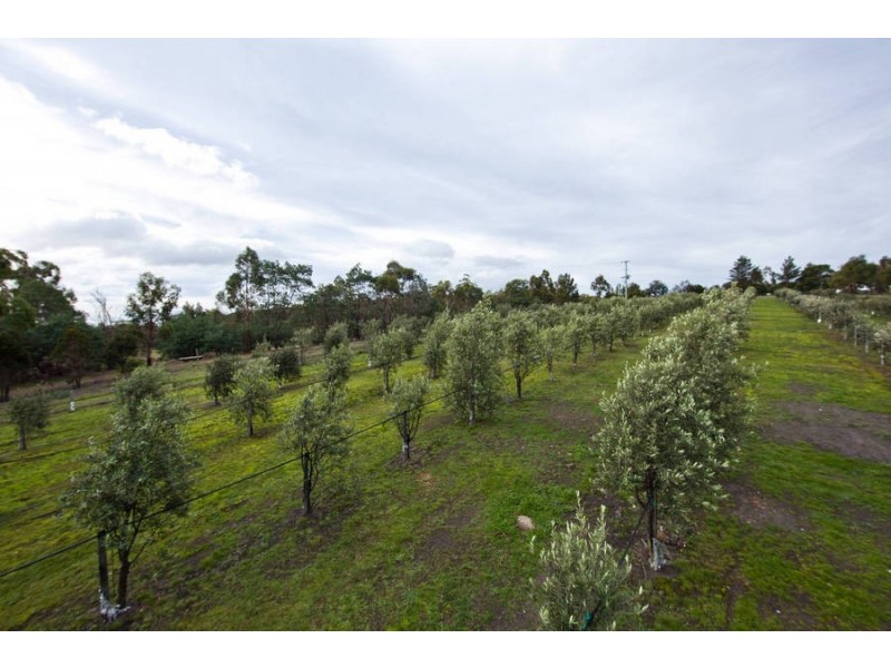 11 Hanslows Road, Cambridge TAS 7170