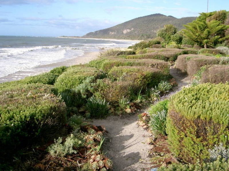 61-63 Irby Boulevard, Sisters Beach TAS 7321