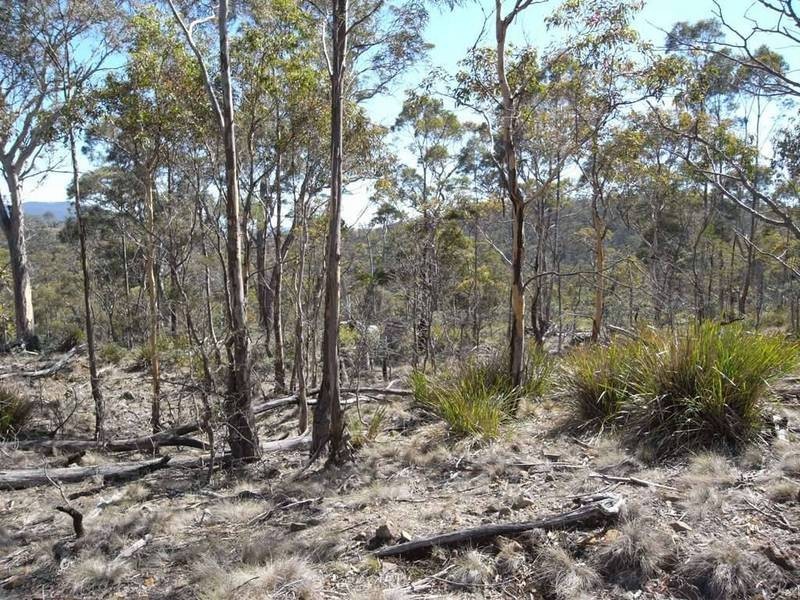 Lot 1,  Phipps Road, Runnymede TAS 7190