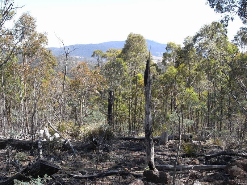 Lot 1,  Phipps Road, Runnymede TAS 7190