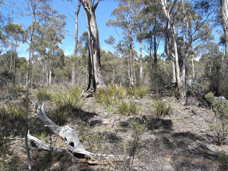 Lot 1,  Phipps Road, Runnymede TAS 7190