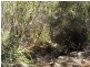 Lot 1,  Phipps Road, Runnymede TAS 7190