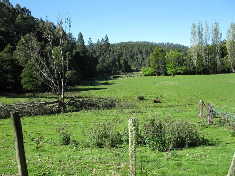 6 Junee Road, Maydena TAS 7140