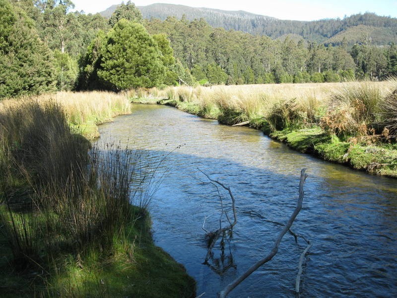 6 Junee Road, Maydena TAS 7140