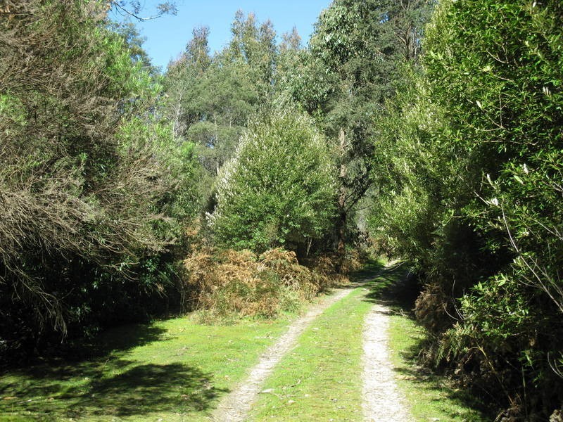 6 Junee Road, Maydena TAS 7140