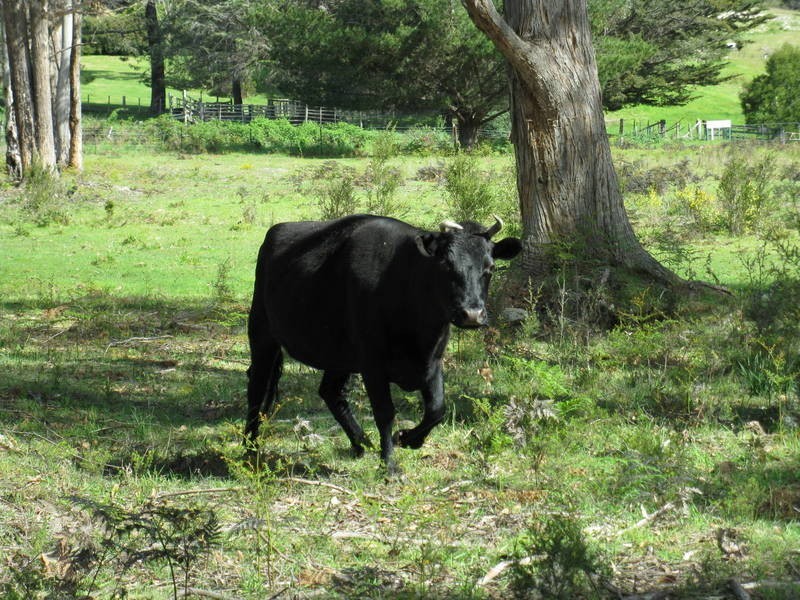 National Park TAS 7140