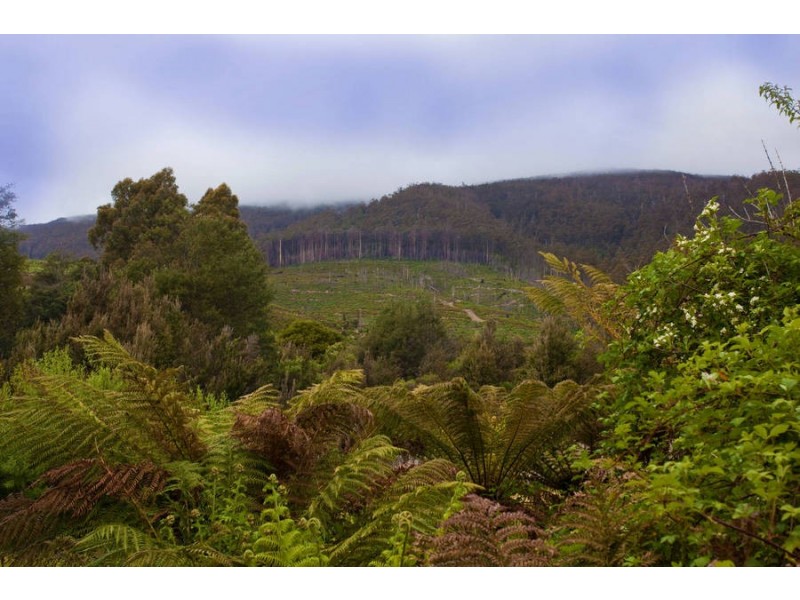 3331 Gordon River Road, Fitzgerald TAS 7140