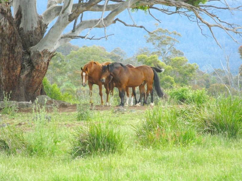 215 Rockmount Road, Ellendale TAS 7140