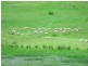 215 Rockmount Road, Ellendale TAS 7140