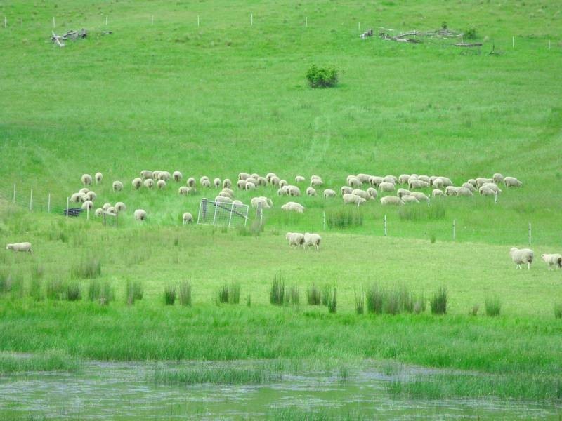 215 Rockmount Road, Ellendale TAS 7140