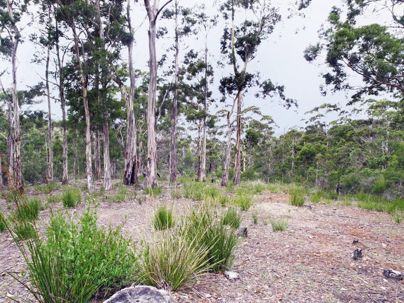 Lot 2, 263 Whittons Road, Kettering TAS 7155